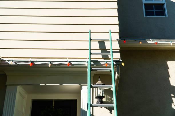 Best Hoarding Cleanup  in Taunton, MA